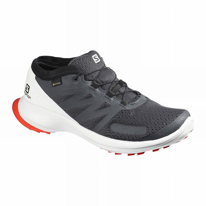 Zapatillas Trail Running Salomon Hombre Negras - Salomon Argentina SENSE FLOW GTX ,498216-CQM